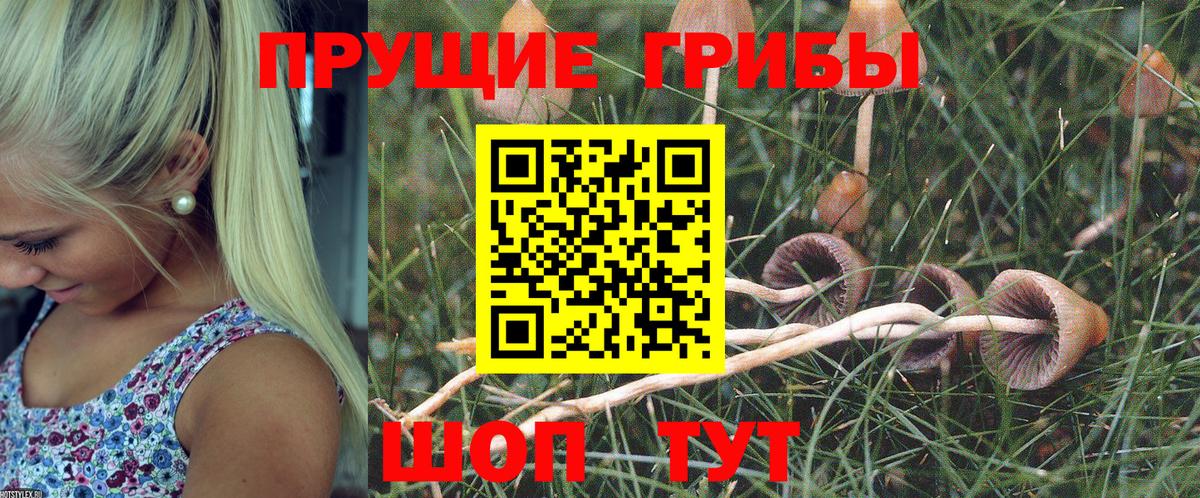 Галлюциногенные грибы ЛСД  Вход с VPN  Керчь  Галлюциногенные грибы прущие грибы 